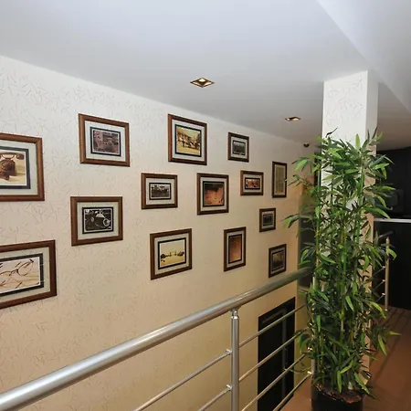 לינה וארוחת בוקר Boutique House בלגרד